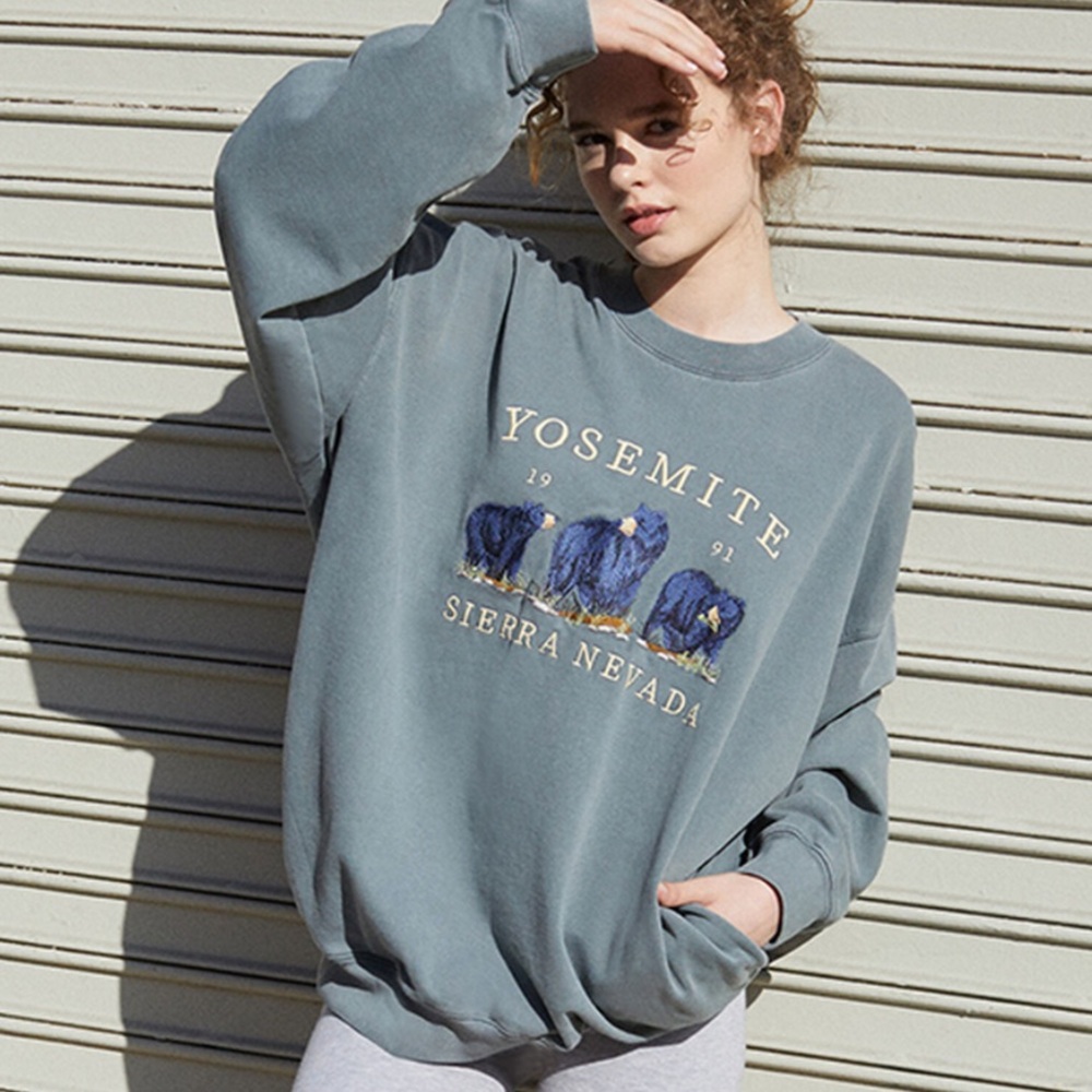 Brandy Melville John Galt Yosemite Crew Neck Sweatshirt